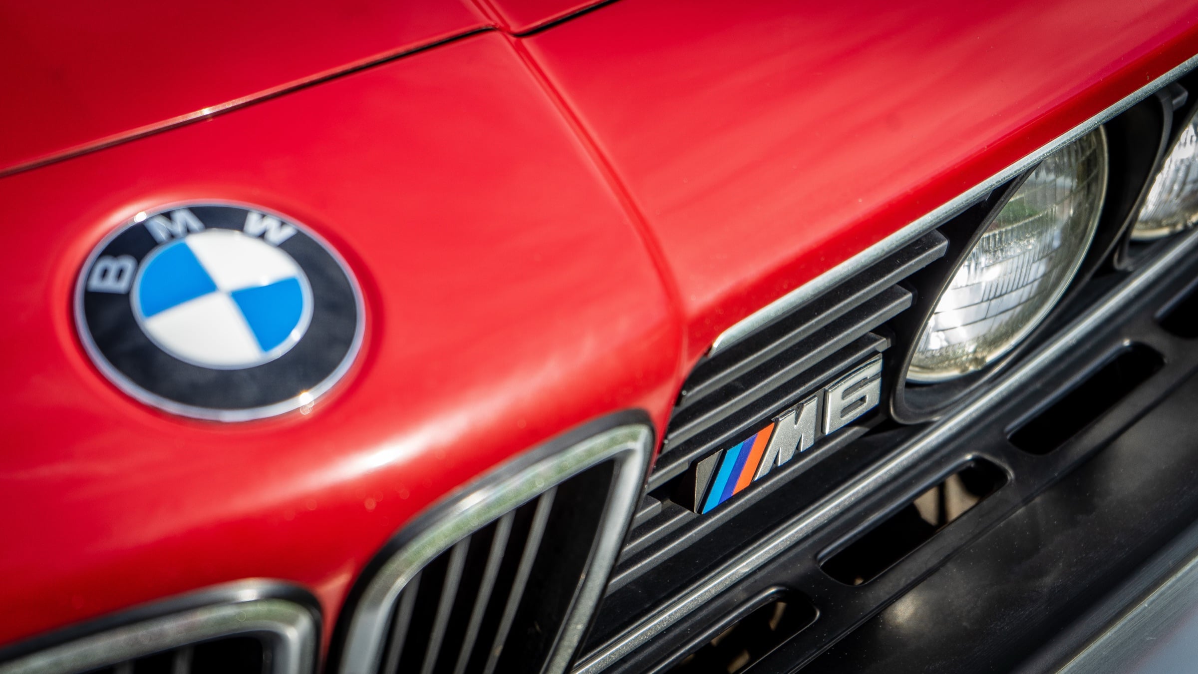 Close-up of the M6 badge and BMW roundel on a red E24 grille