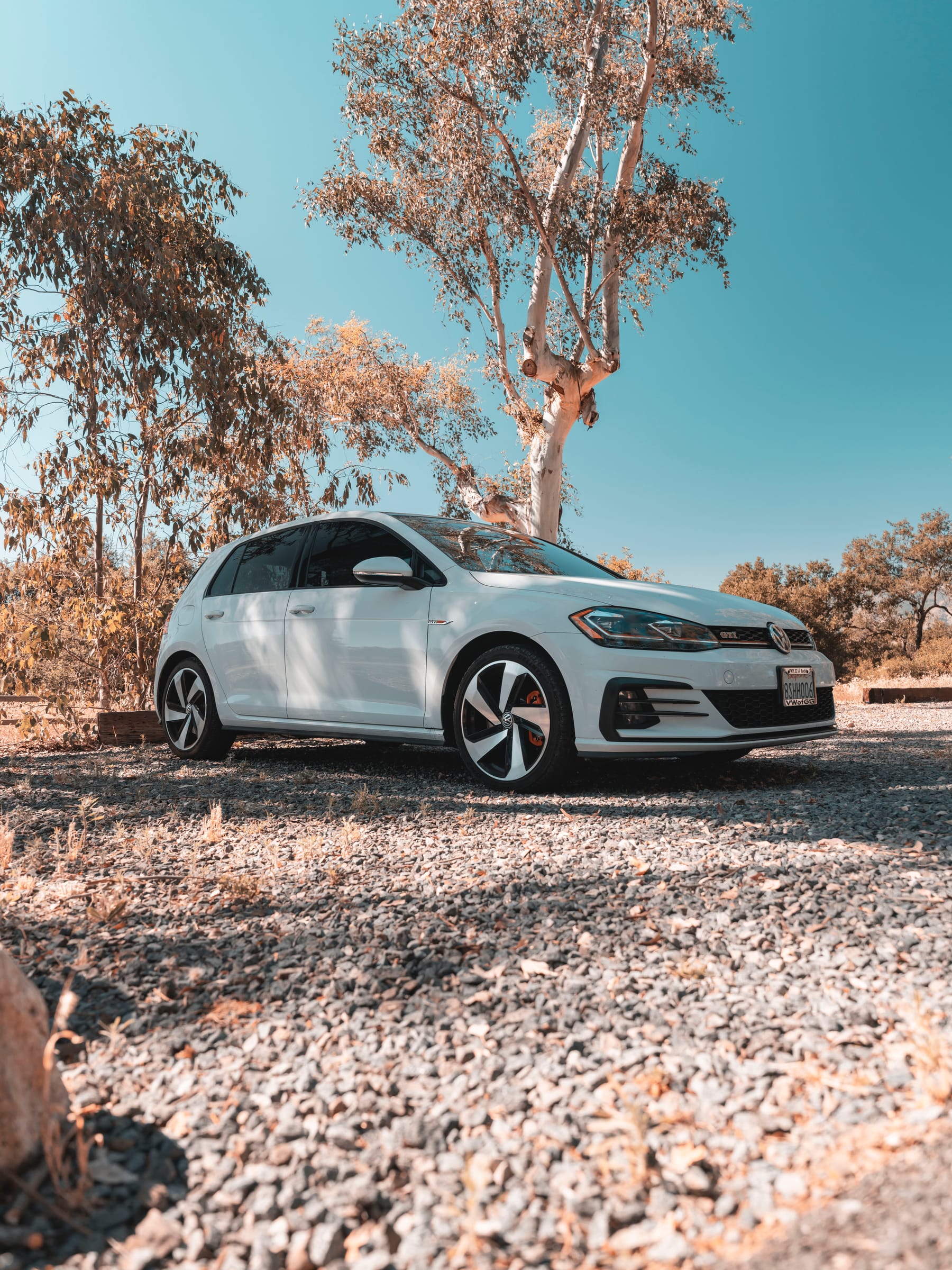 A white VW Golf GTI parked on gravel beneath a bare tree