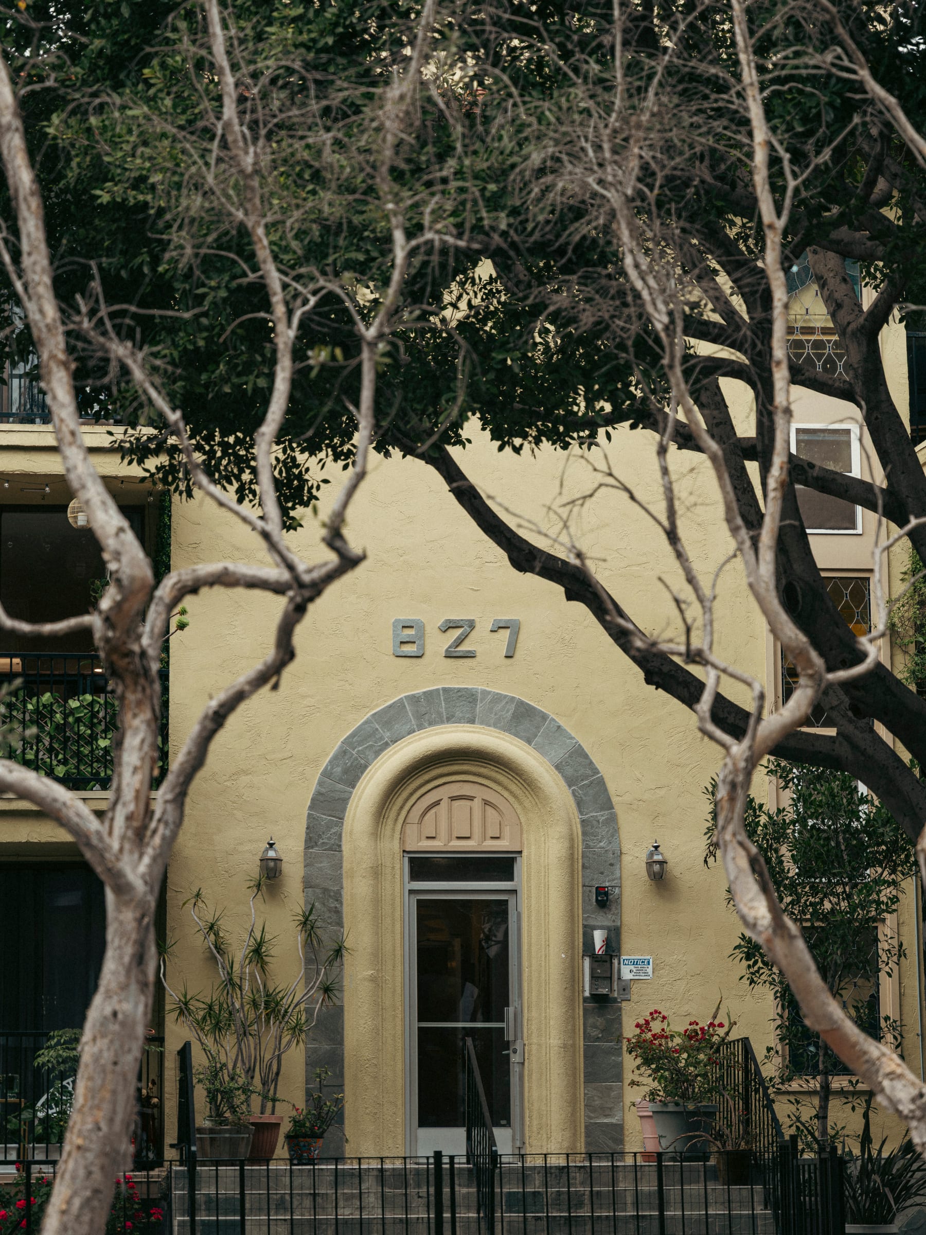 Bare winter branches framing a yellow Spanish-style building marked 827
